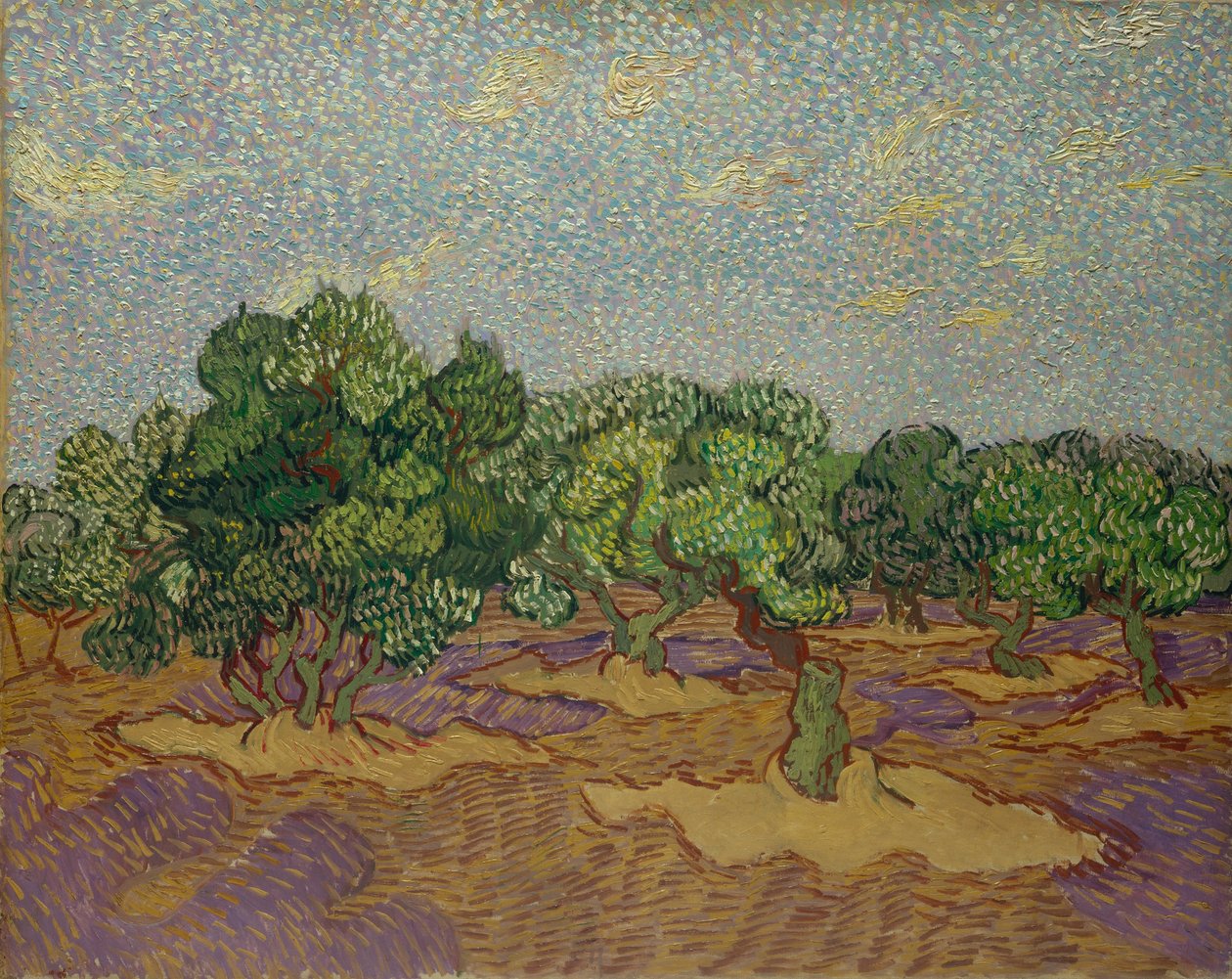 Oliivipuut, 1889. tekijältä Vincent van Gogh