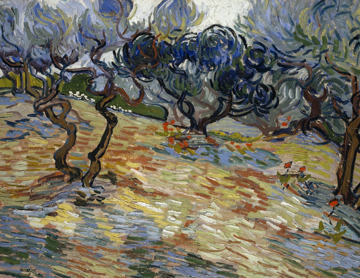 Oliivipuut: Kirkkaan sininen taivas tekijältä Vincent van Gogh