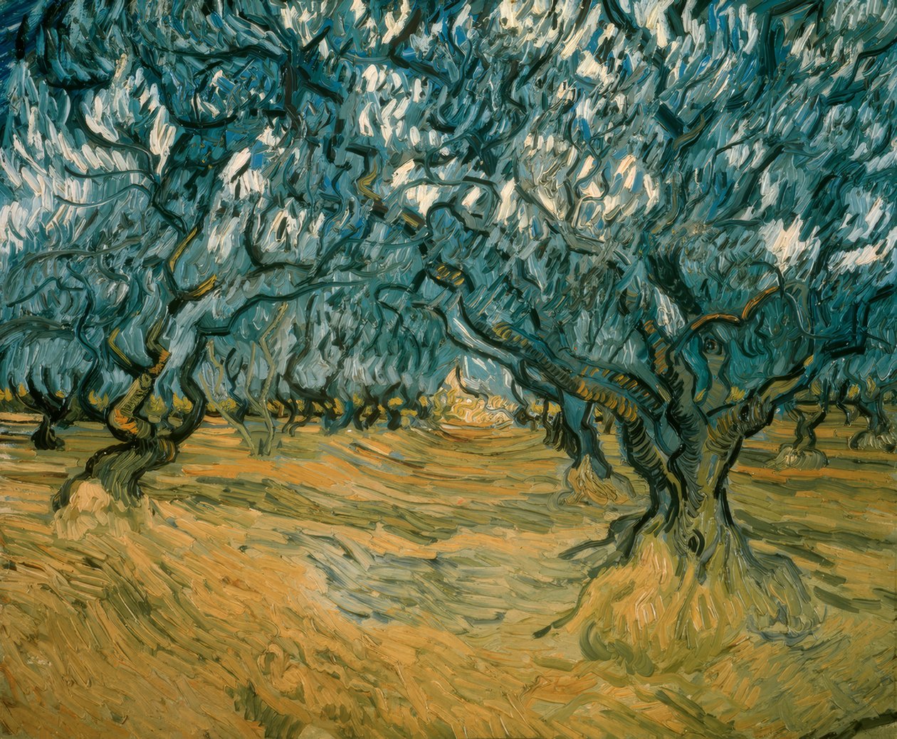 Olivenbäume tekijältä Vincent van Gogh