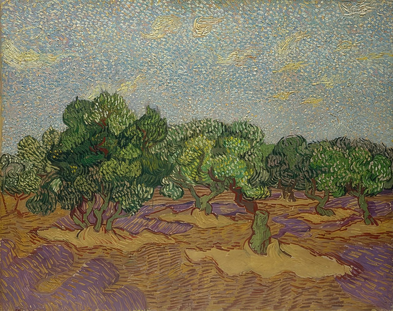 Oliivipuut. 1889 tekijältä Vincent van Gogh