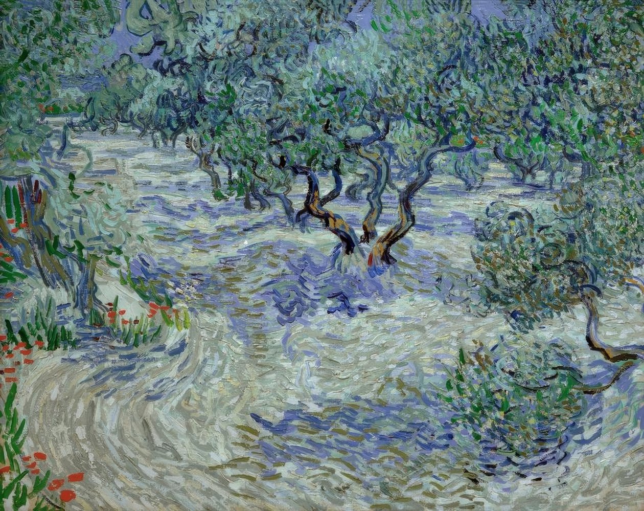 Olivenhain tekijältä Vincent van Gogh