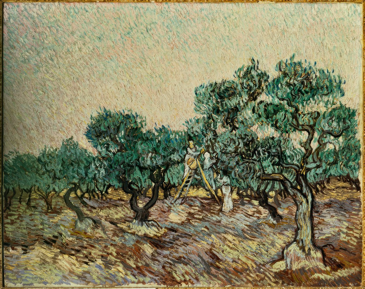 Oliivinpoimijoita tekijältä Vincent van Gogh