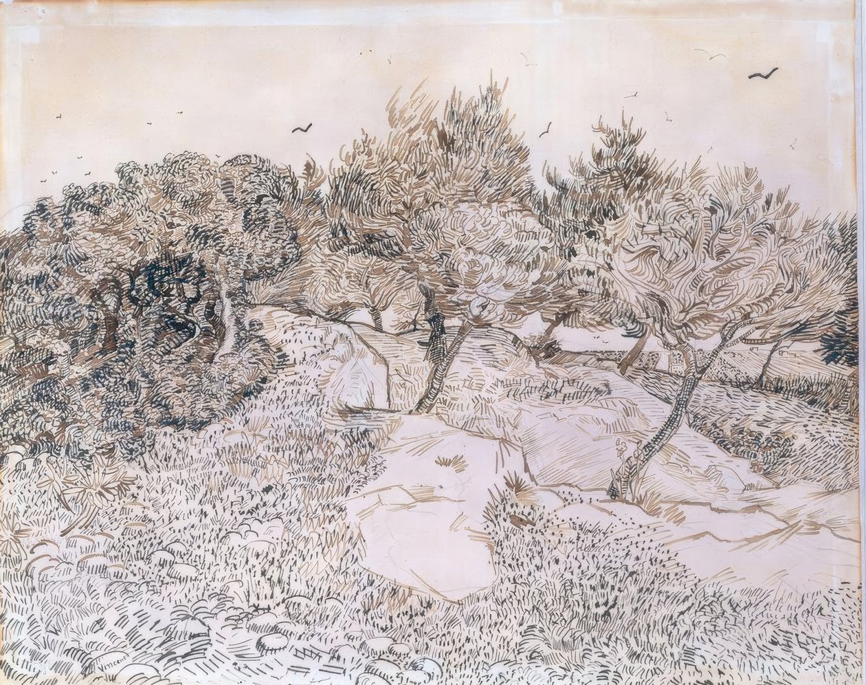 Oliivipuita Montmajourissa tekijältä Vincent van Gogh