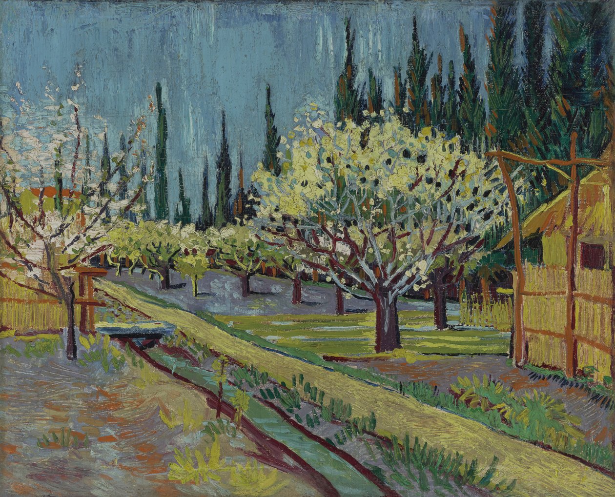 Sypressien reunustama hedelmätarha tekijältä Vincent van Gogh