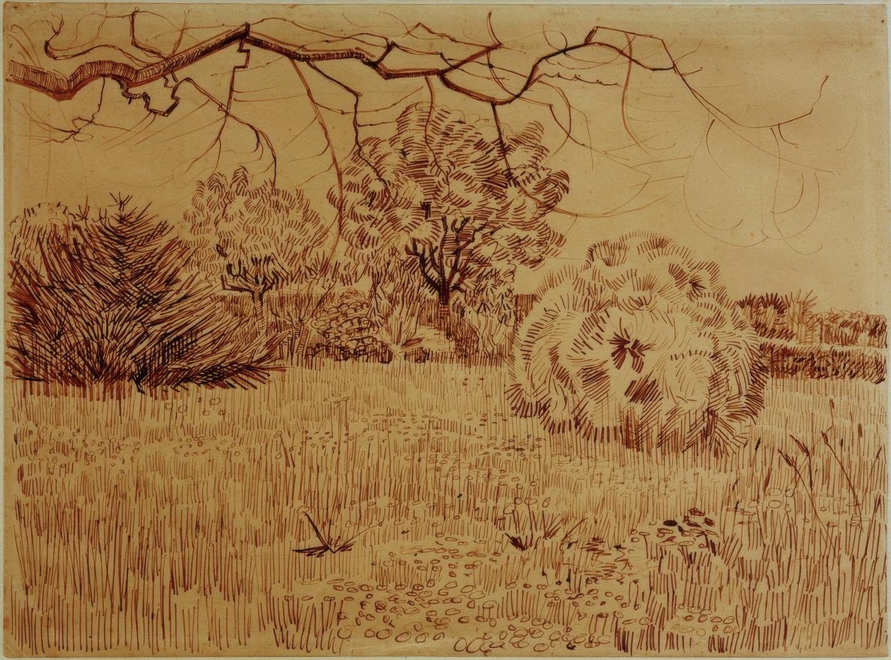Park mit Strauch tekijältä Vincent van Gogh