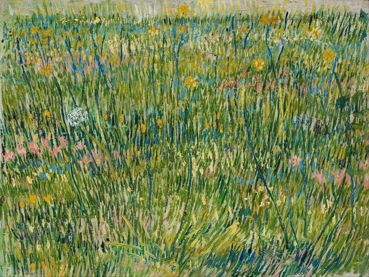 ruohokenttä tekijältä Vincent van Gogh