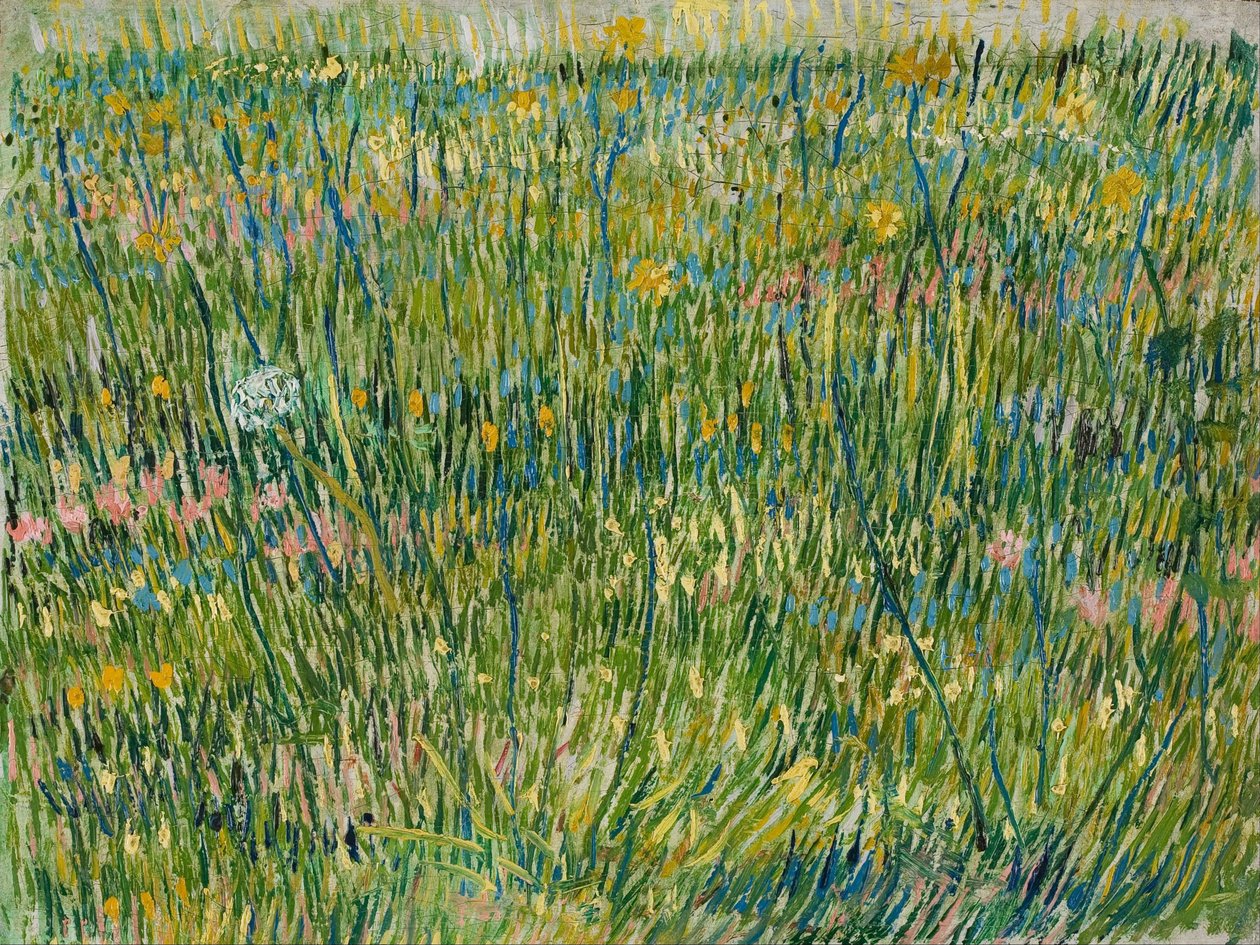 Laikku ruohoa tekijältä Vincent van Gogh