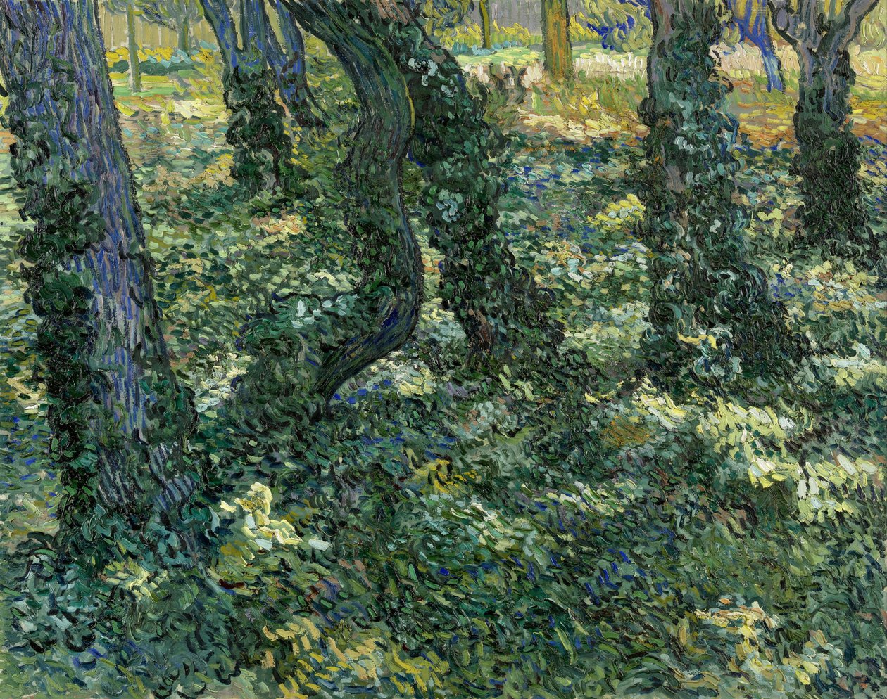""Undergrowth landscape"" (Undergrowth) Vincent van Goghin (1853-1890) maalaus 1889 Koko 73x92,5 cm Van Goghin museo, Amsterdam tekijältä Vincent van Gogh