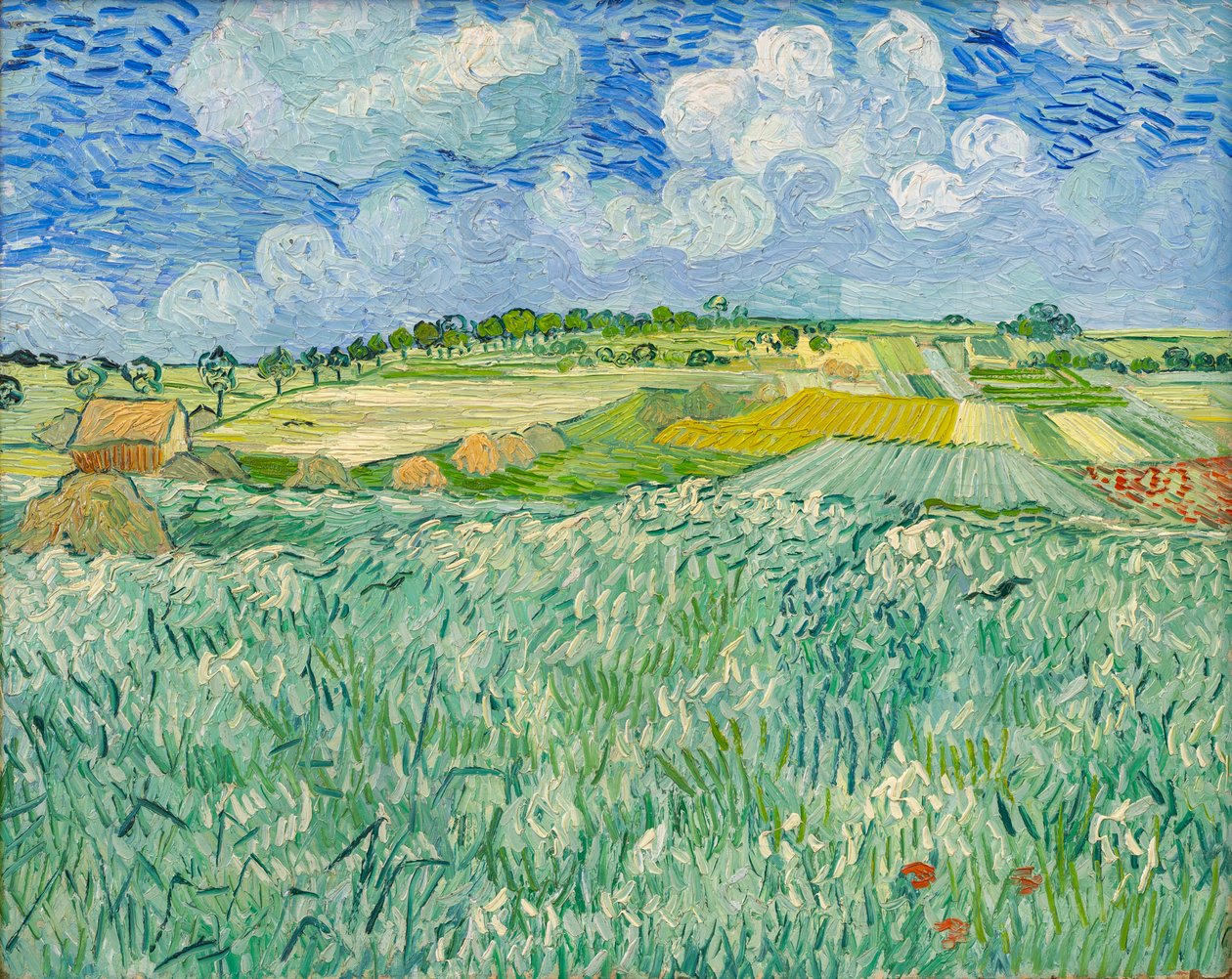 Tasanko Auversin lähellä tekijältä Vincent van Gogh
