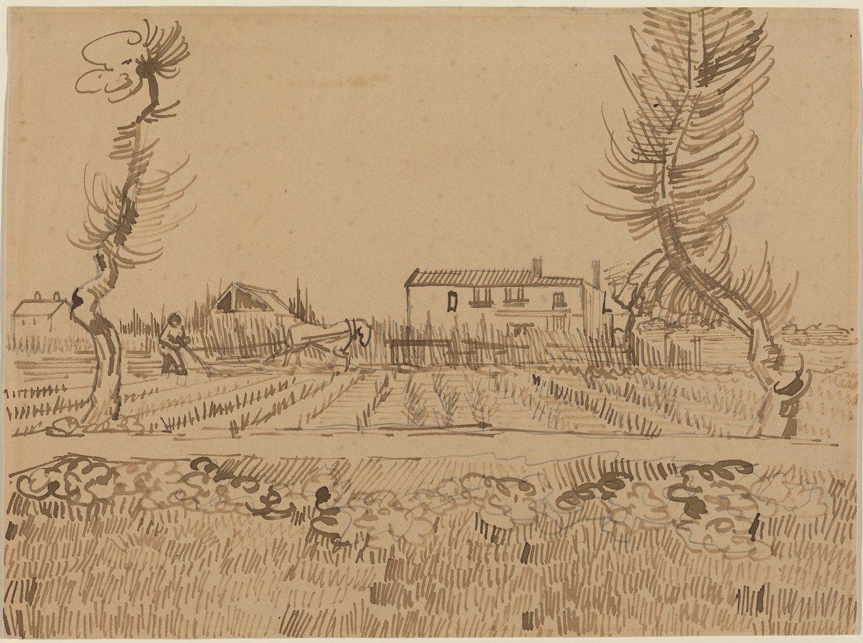 Maanviljelijä pelloilla Arlesin lähellä tekijältä Vincent van Gogh
