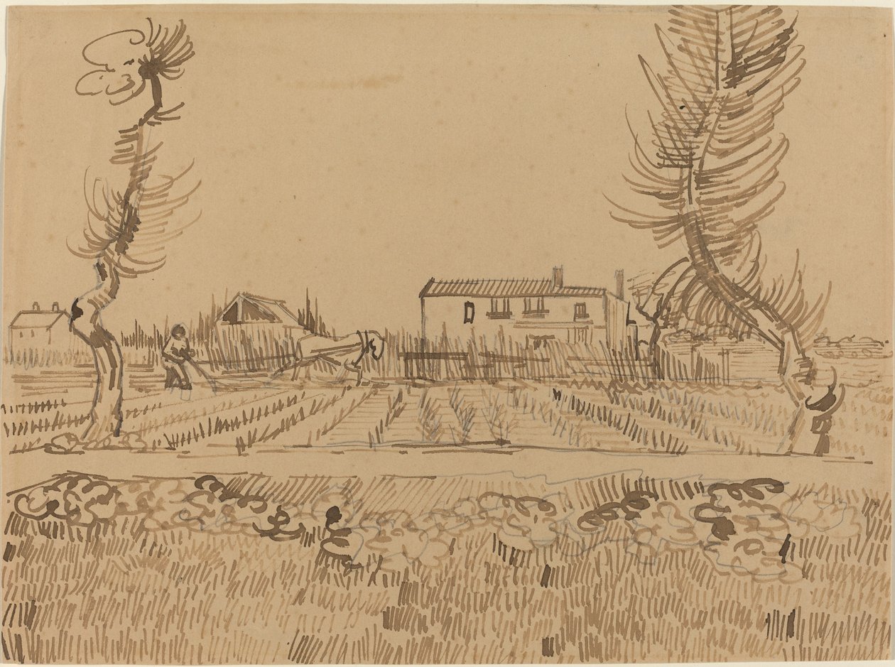 Plowman in the Fields lähellä Arles, 1888. tekijältä Vincent van Gogh