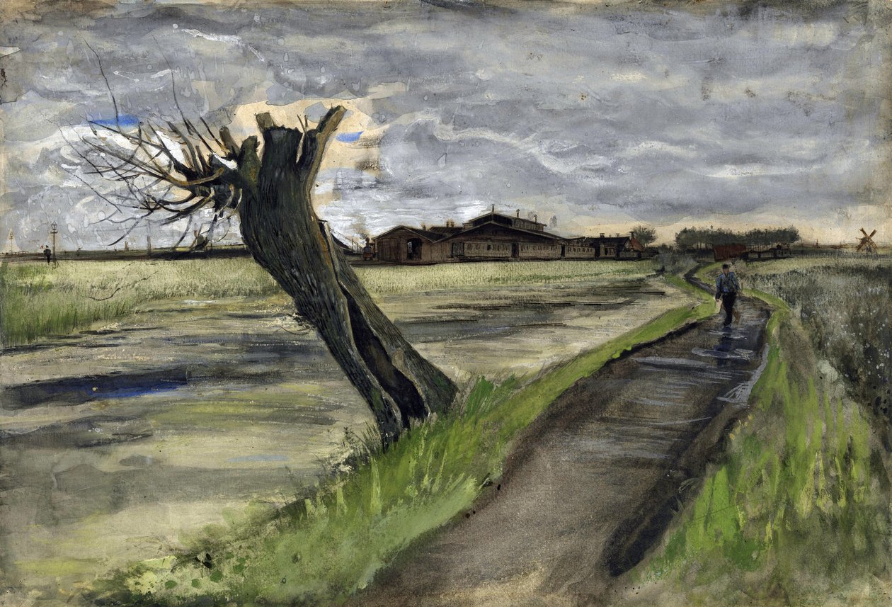 Pollard Willow (saule tetard) par Gogh, Vincent, van (1853-1890). Lyijykynä, akvarelli, guassi, muste paperille, koko: 38x55,8 tekijältä Vincent van Gogh