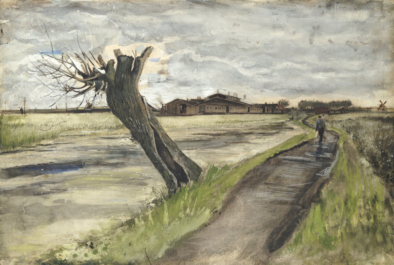 Pollard Willow, 1882 tekijältä Vincent van Gogh