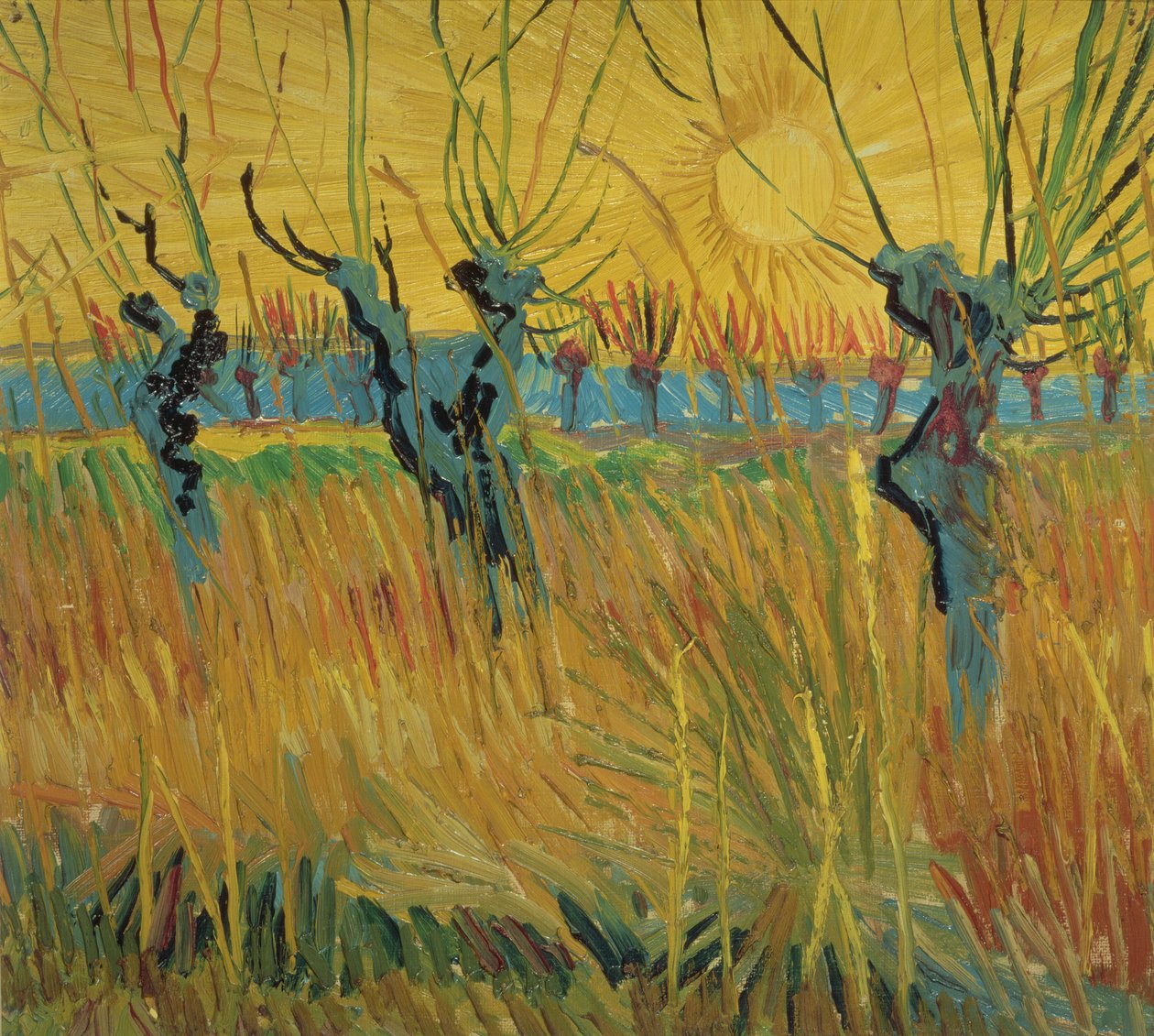 Pollarded pajut ja laskeva aurinko tekijältä Vincent van Gogh