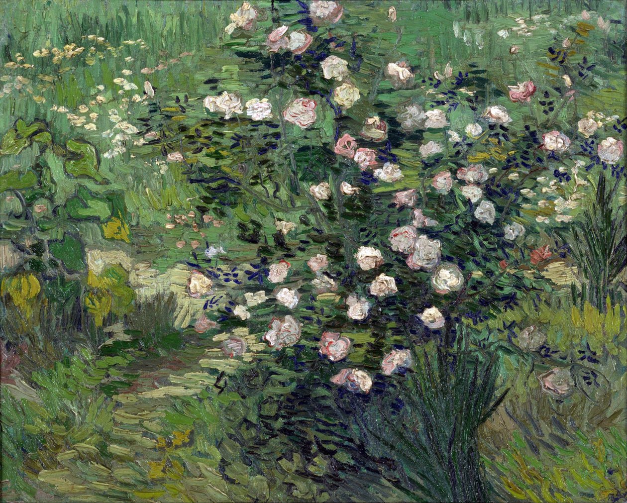 ""Ruusut"" Peinture de Vincent van Gogh (1853-1890) 1889 National Museum of Western Art, Tokio, Japani tekijältä Vincent van Gogh