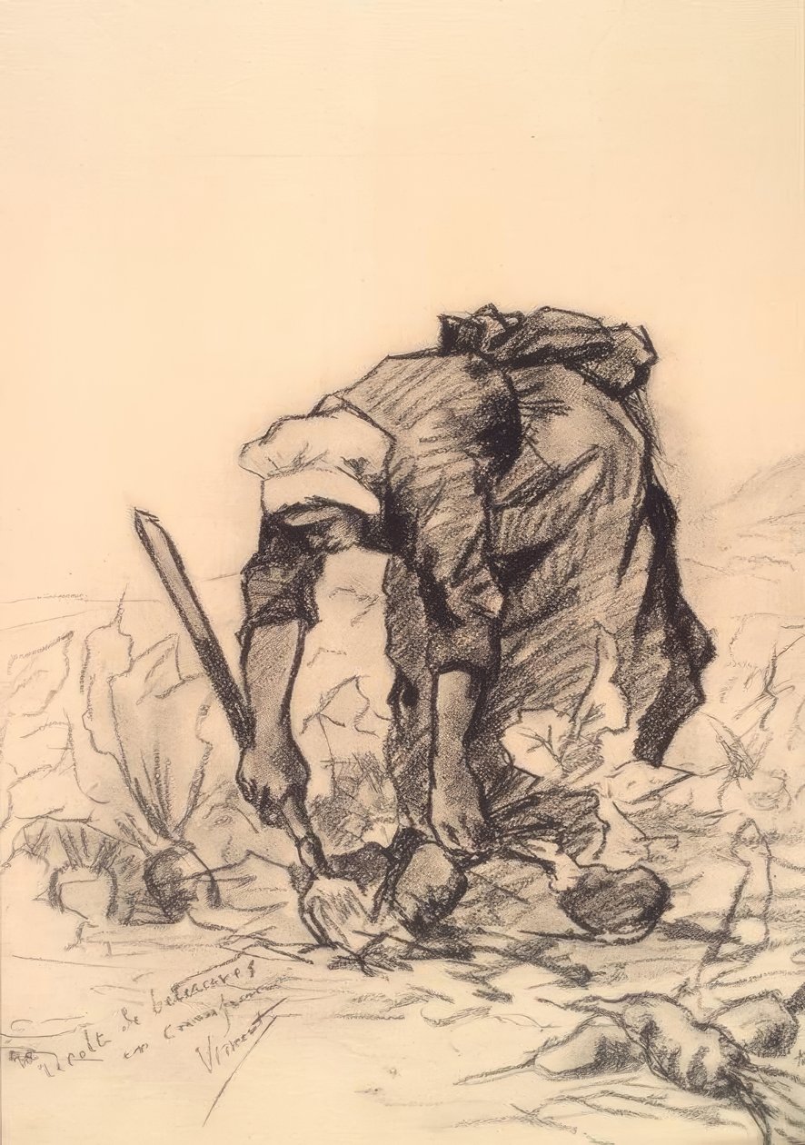Rübenstecherin tekijältä Vincent van Gogh