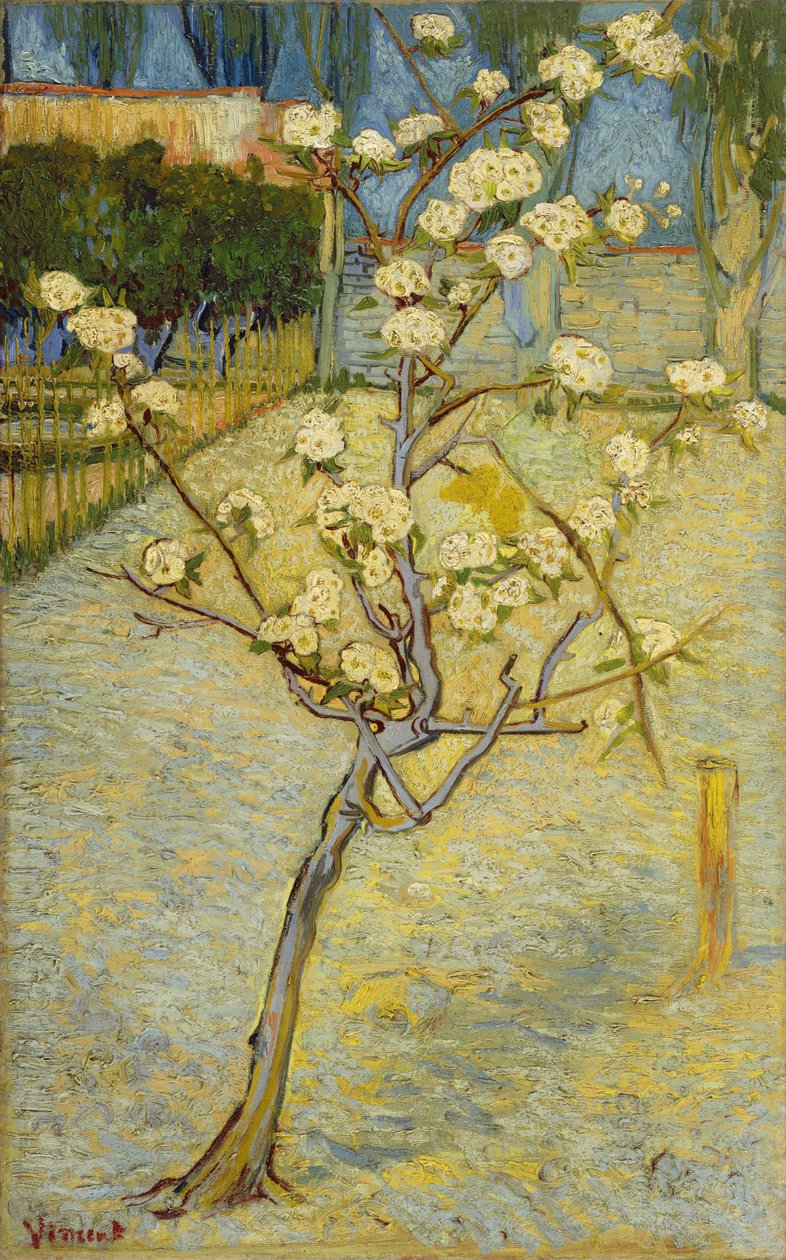 Pieni kukkiva päärynäpuu tekijältä Vincent van Gogh