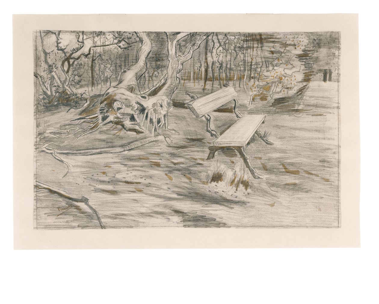 Penkki, 1882 tekijältä Vincent van Gogh