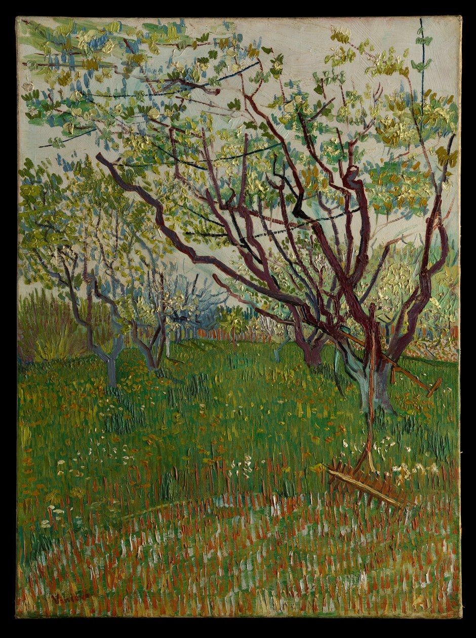 Kukkiva hedelmätarha tekijältä Vincent van Gogh