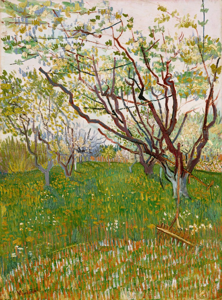 Kukkiva hedelmätarha tekijältä Vincent van Gogh