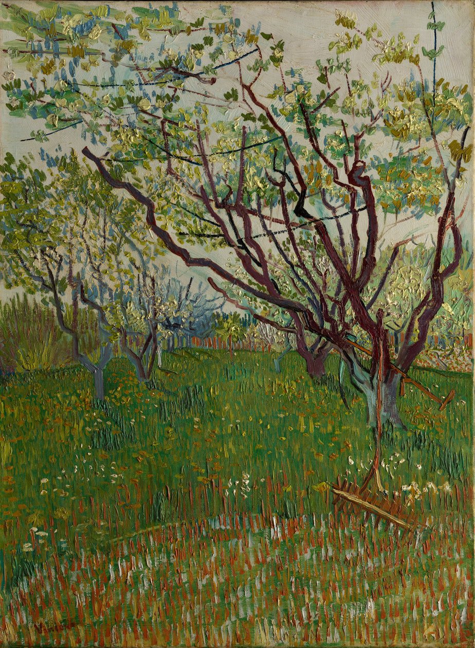 Kukkiva hedelmätarha, 1888. tekijältä Vincent van Gogh