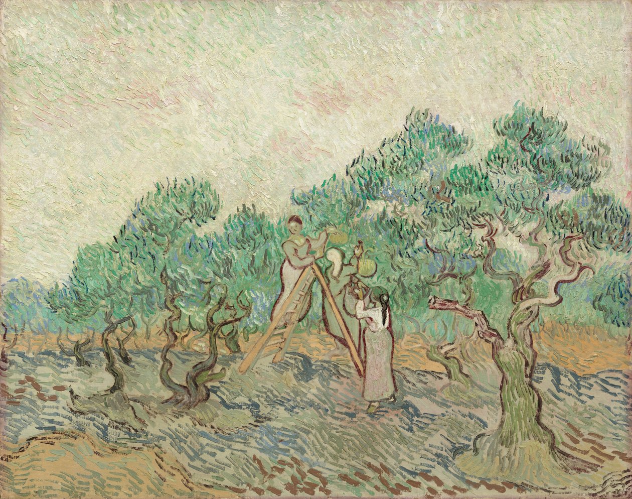 Oliivitarha tekijältä Vincent van Gogh