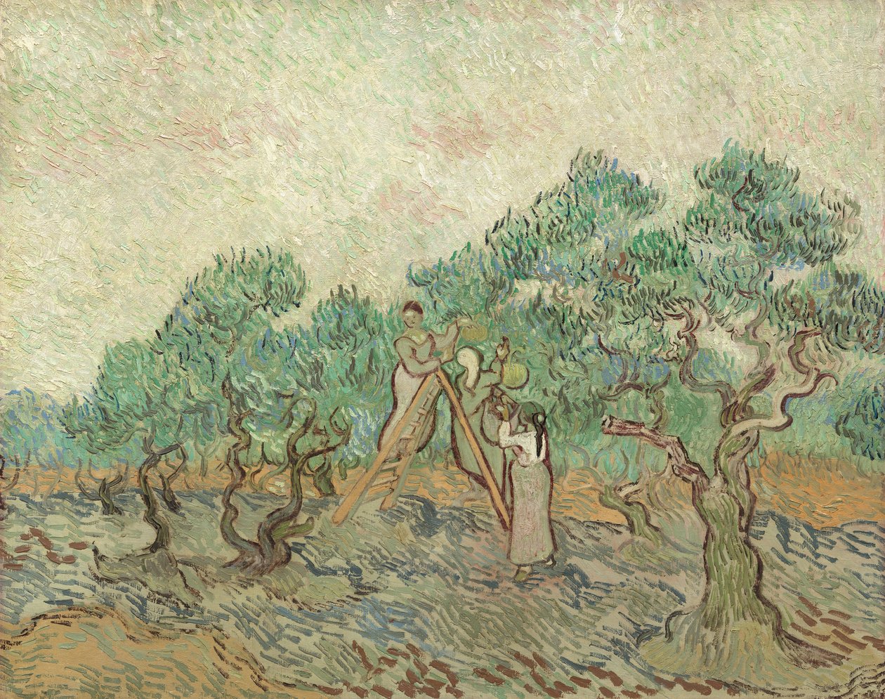 Oliivitarha, 1889 tekijältä Vincent van Gogh