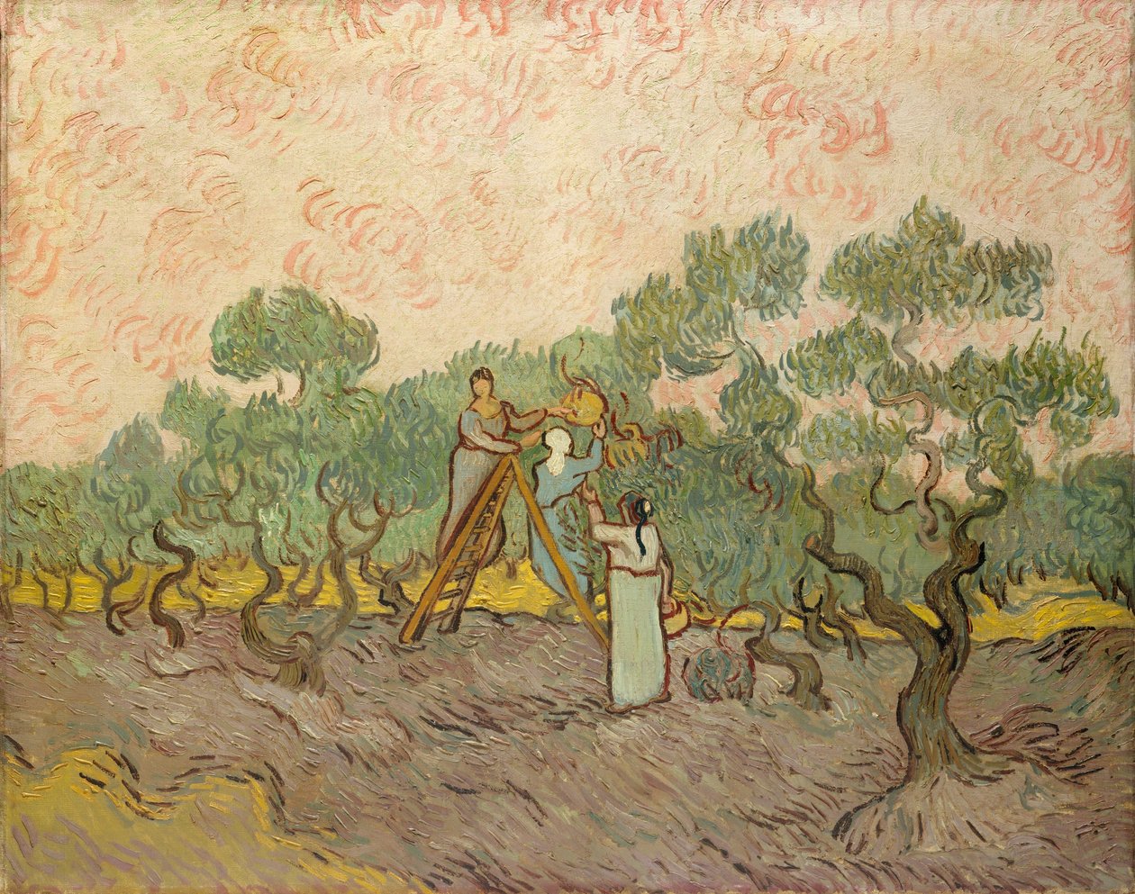 Oliivinpoimijat, Saint-Remy tekijältä Vincent van Gogh