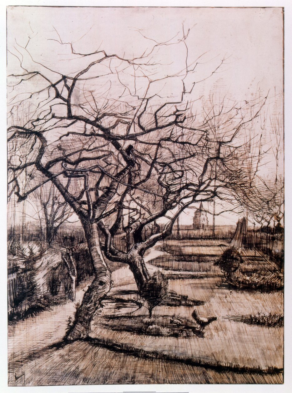 Nuenen pappilan puutarha talvella (1884) tekijältä Vincent van Gogh