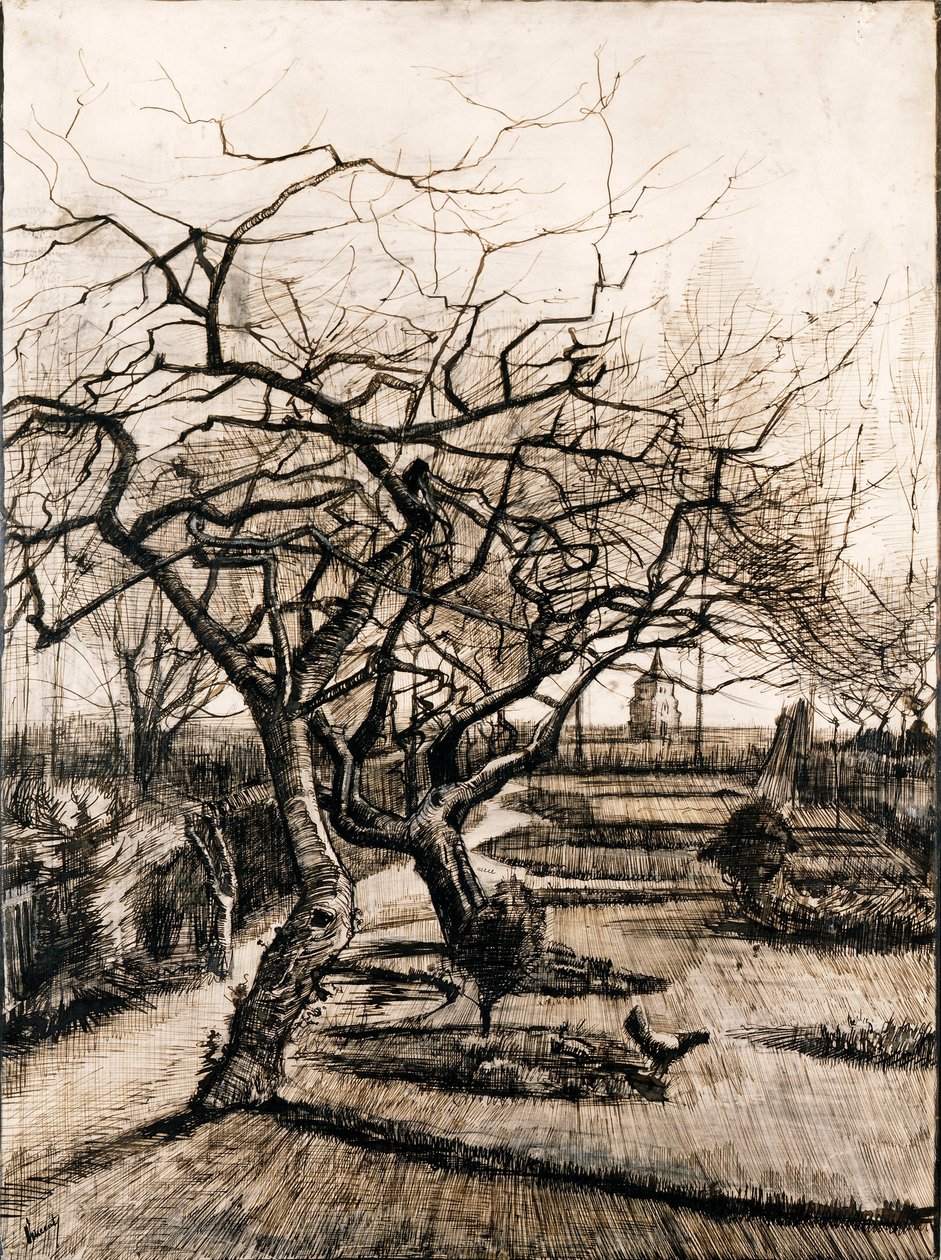 Nuenen pappilan puutarha talvella - Oeuvre de Vincent, van Gogh (1853-1890) - 1884 - Kynä, sivellin, muste paperille - 51,5x38 - Szepmuveszeti Muzeum, Budapest tekijältä Vincent van Gogh