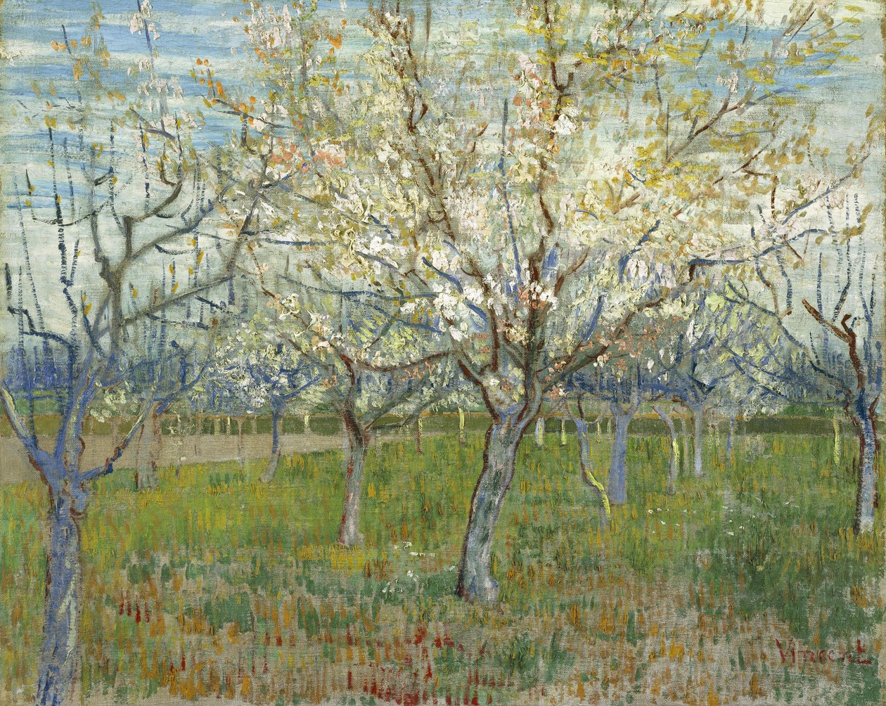 Vaaleanpunainen hedelmätarha, myös hedelmätarha kukkivine aprikoosipuineen tekijältä Vincent van Gogh