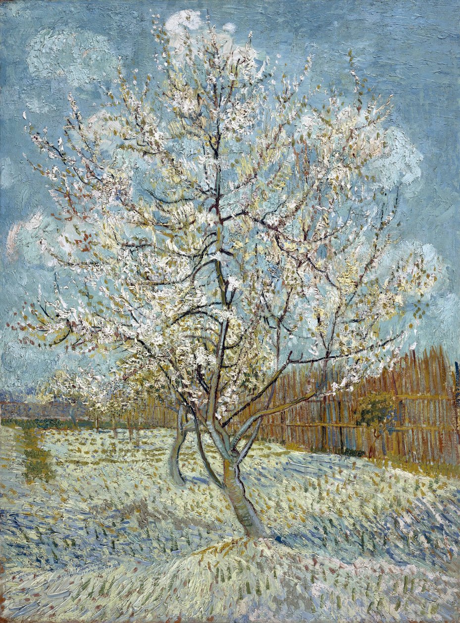 Vaaleanpunainen persikkapuu tekijältä Vincent van Gogh