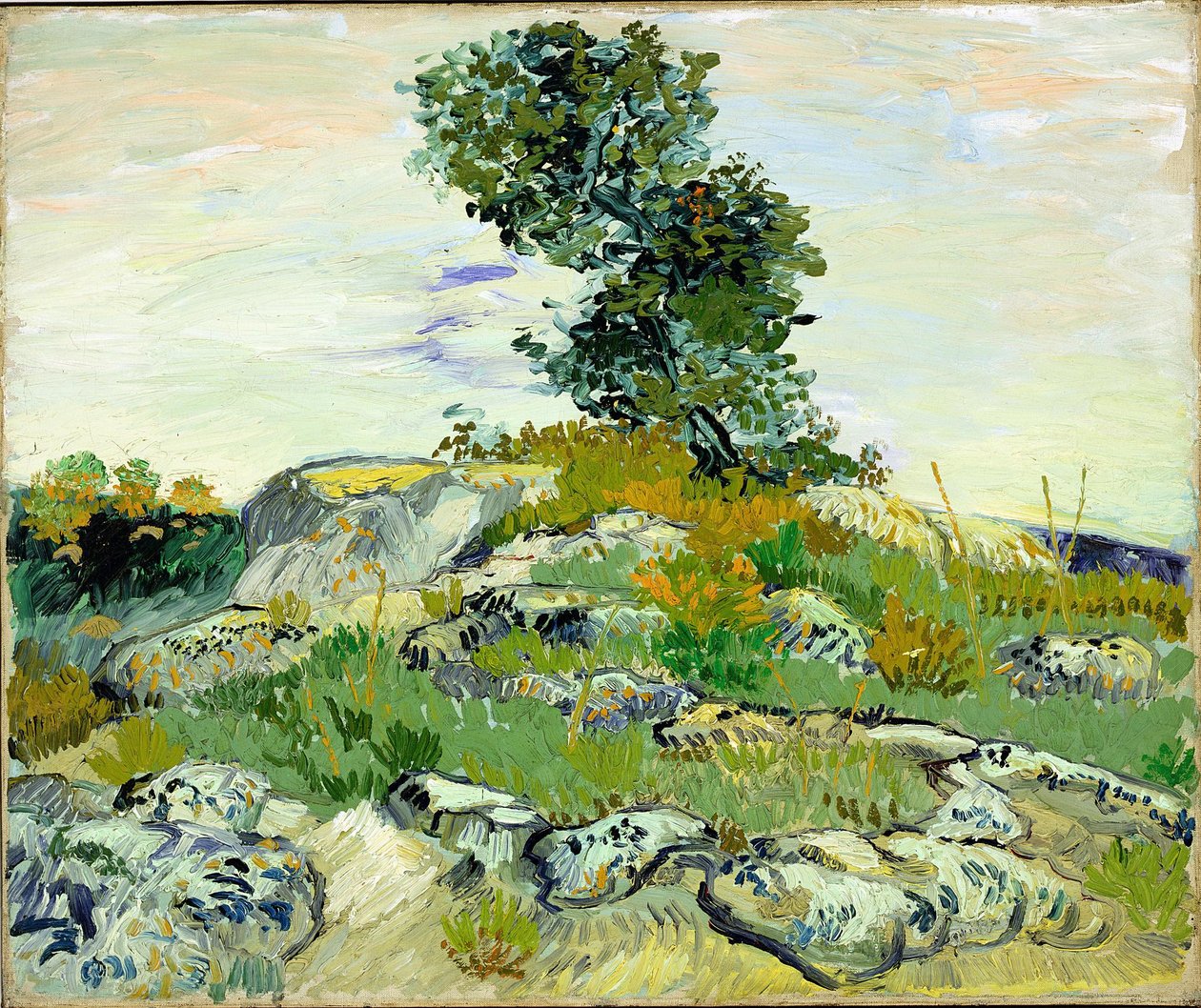 The Rocks tekijältä Vincent van Gogh
