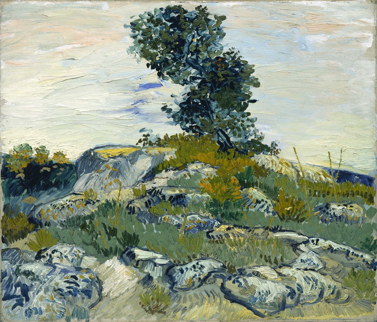 Kalliot / Kalliot ja tammi tekijältä Vincent van Gogh