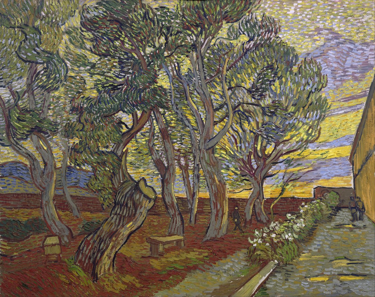 Saint-Paulin sairaalan puutarha tekijältä Vincent van Gogh