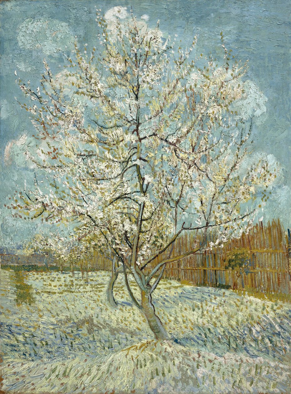 Vaaleanpunainen persikkapuu tekijältä Vincent van Gogh