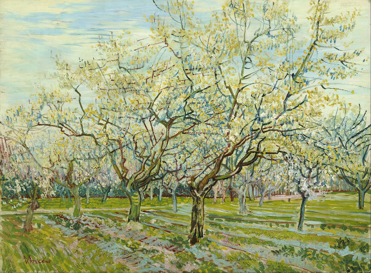 Valkoinen hedelmätarha tekijältä Vincent van Gogh