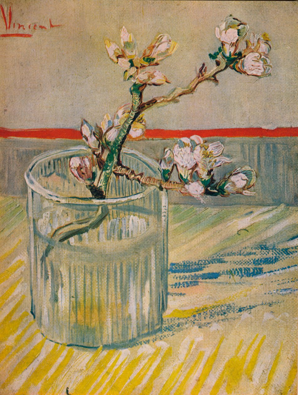 Mantelin kukkiva varsi, 1888 tekijältä Vincent van Gogh