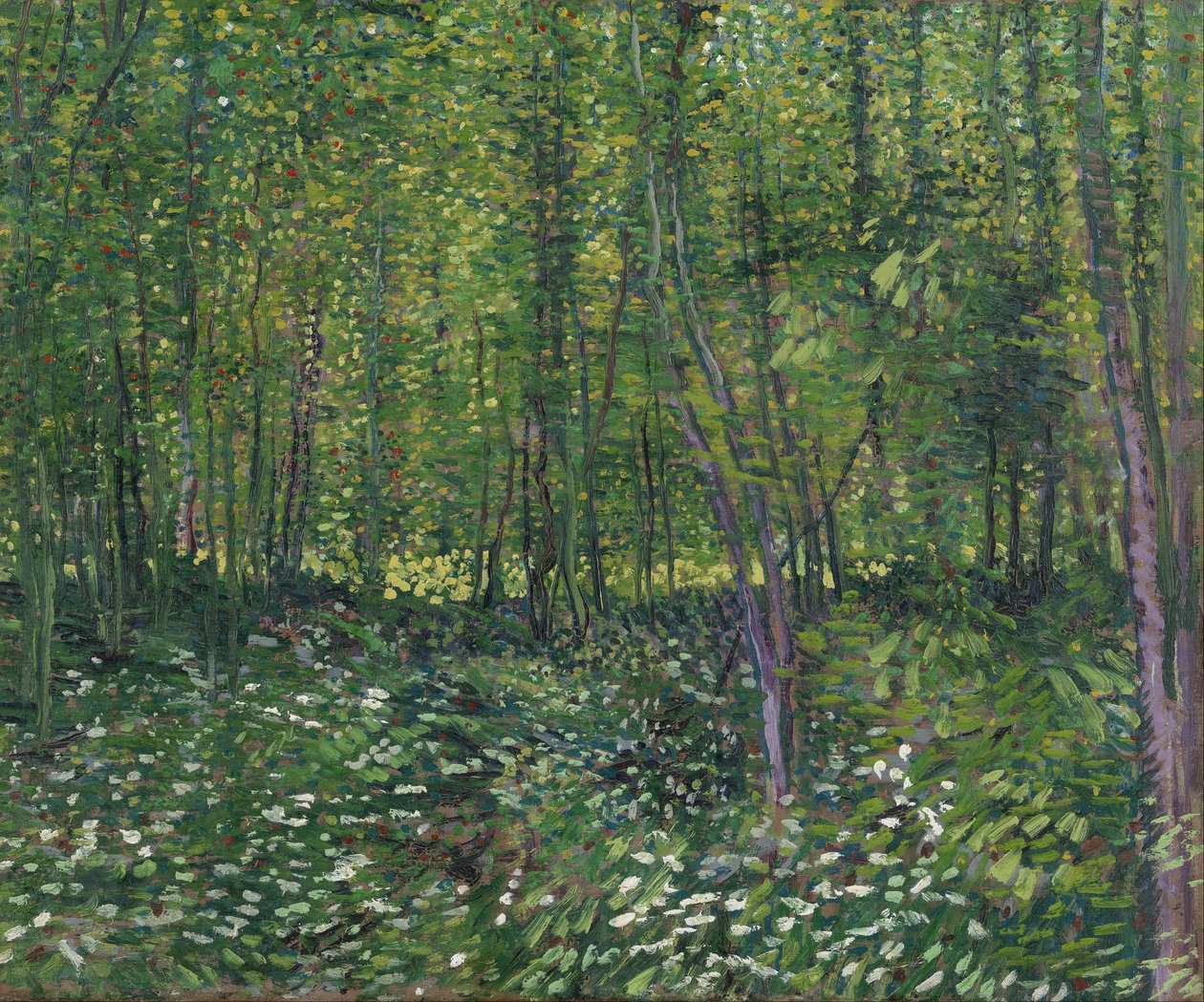 Puut ja aluskasvillisuus tekijältä Vincent van Gogh