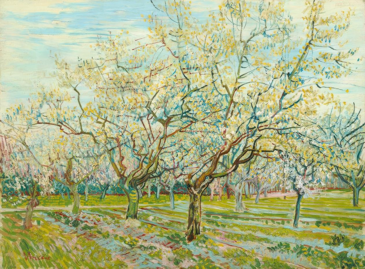 V. van Gogh, Der weiße Obstgarten tekijältä Vincent van Gogh