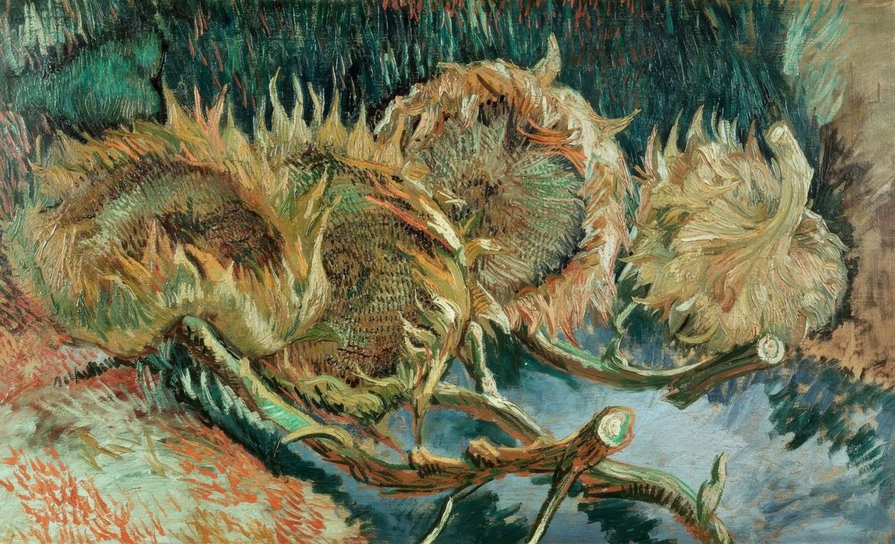 Vier verblühte Sonnenblumen tekijältä Vincent van Gogh