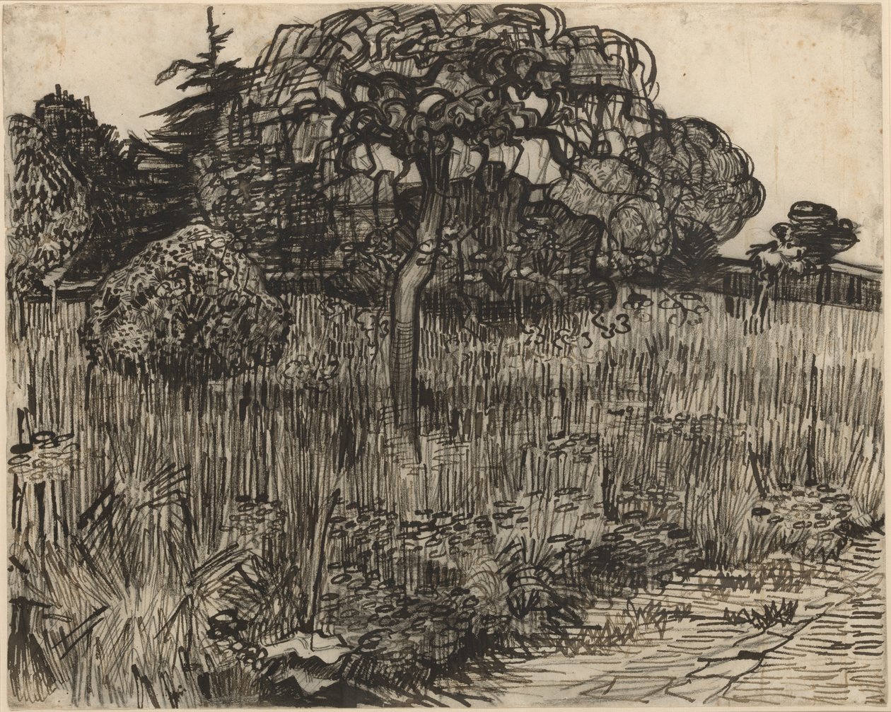 Itkevä puu tekijältä Vincent van Gogh