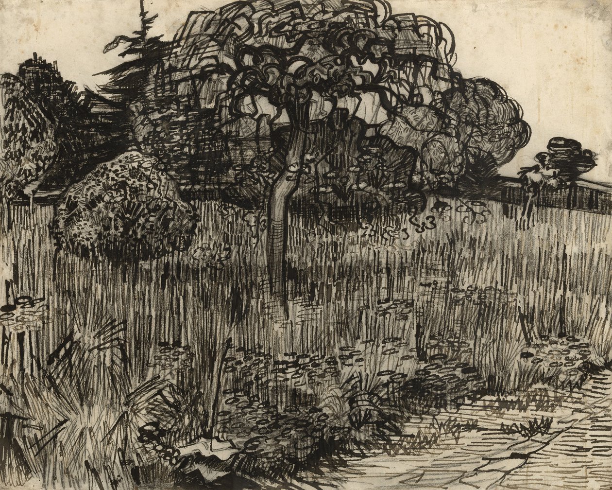 Itkupuu, 1889 tekijältä Vincent van Gogh