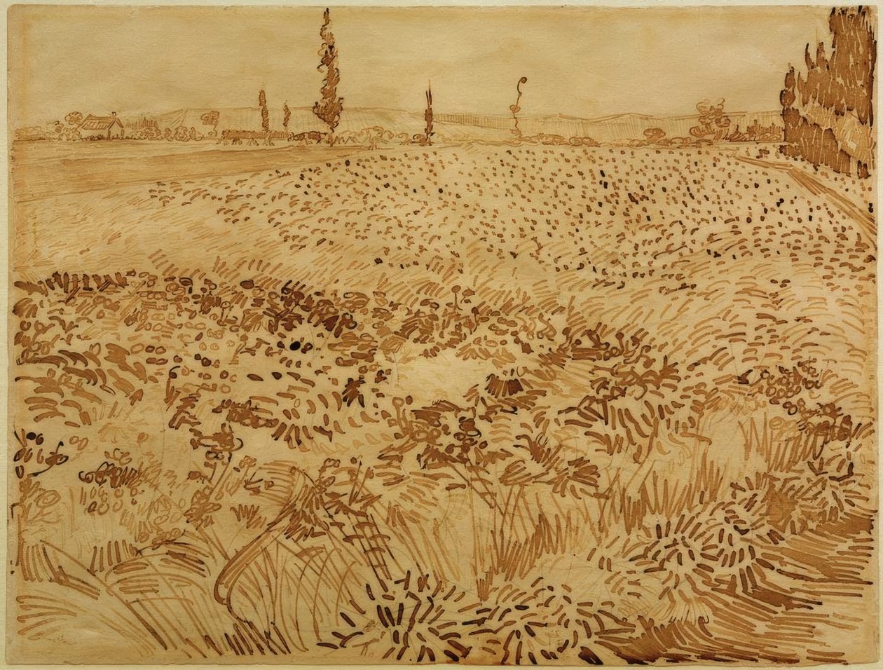 Vehnäpelto tekijältä Vincent van Gogh