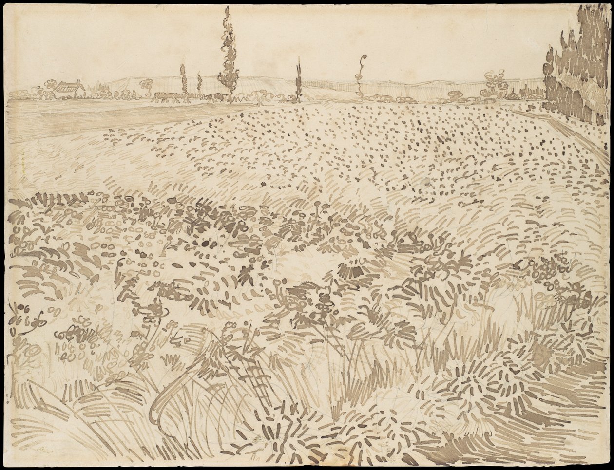Vehnäpelto tekijältä Vincent van Gogh