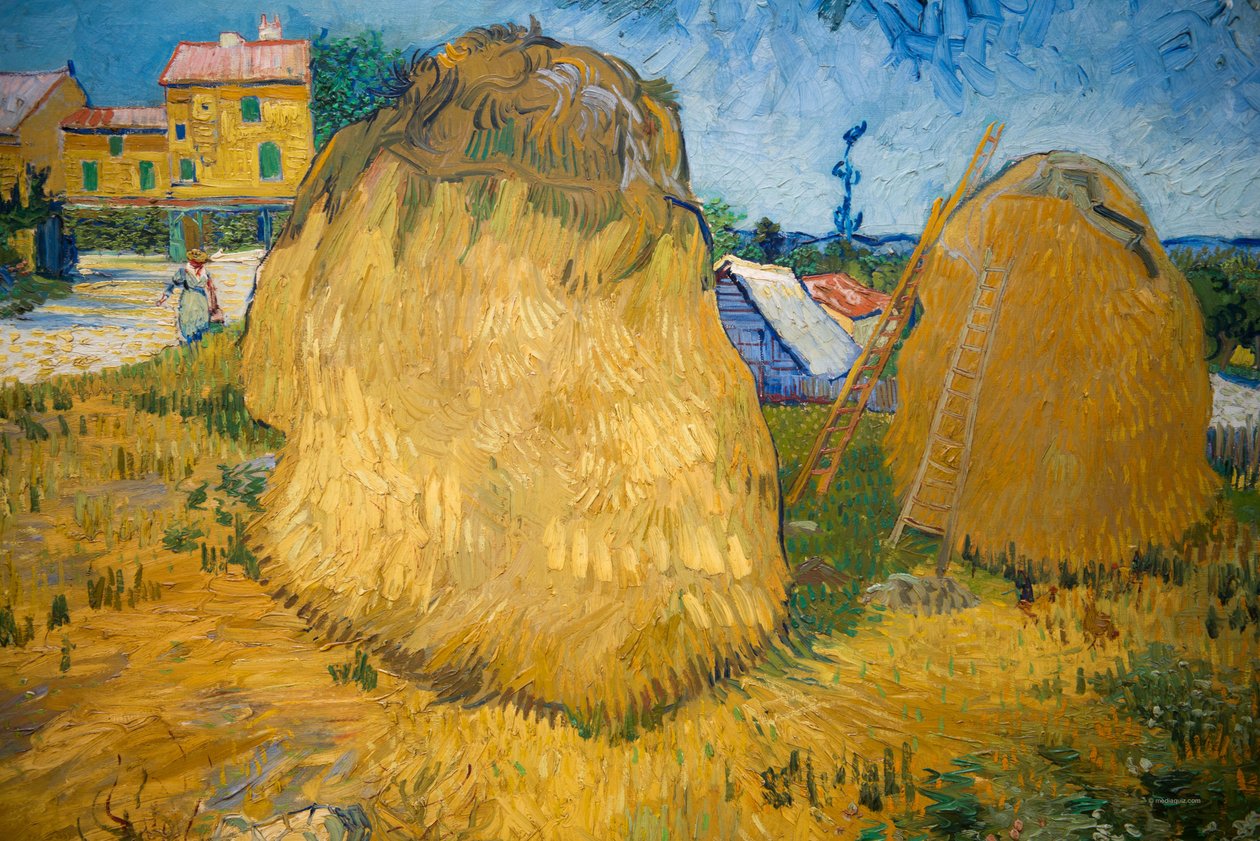Vehnäpinot Provencessa tekijältä Vincent van Gogh