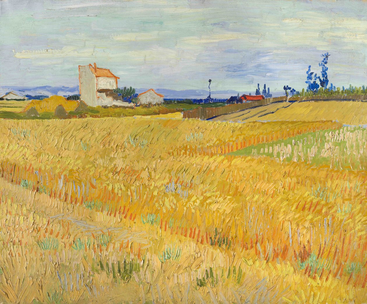 Vehnäpelto (Champs de blé) tekijältä Vincent van Gogh