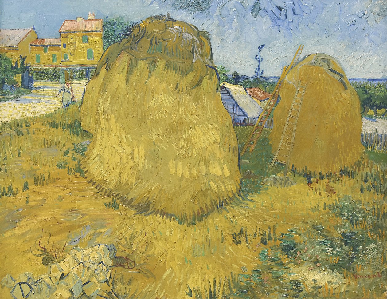 Vehnäpinot Provencessa, n. 1888 (öljy kankaalle) tekijältä Vincent van Gogh
