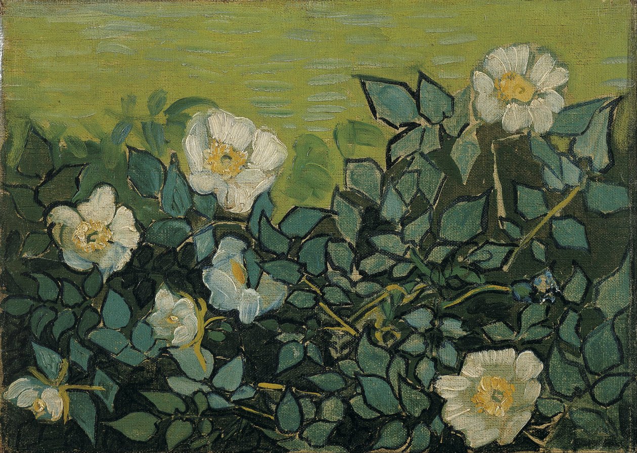 Villiruusuja tekijältä Vincent van Gogh