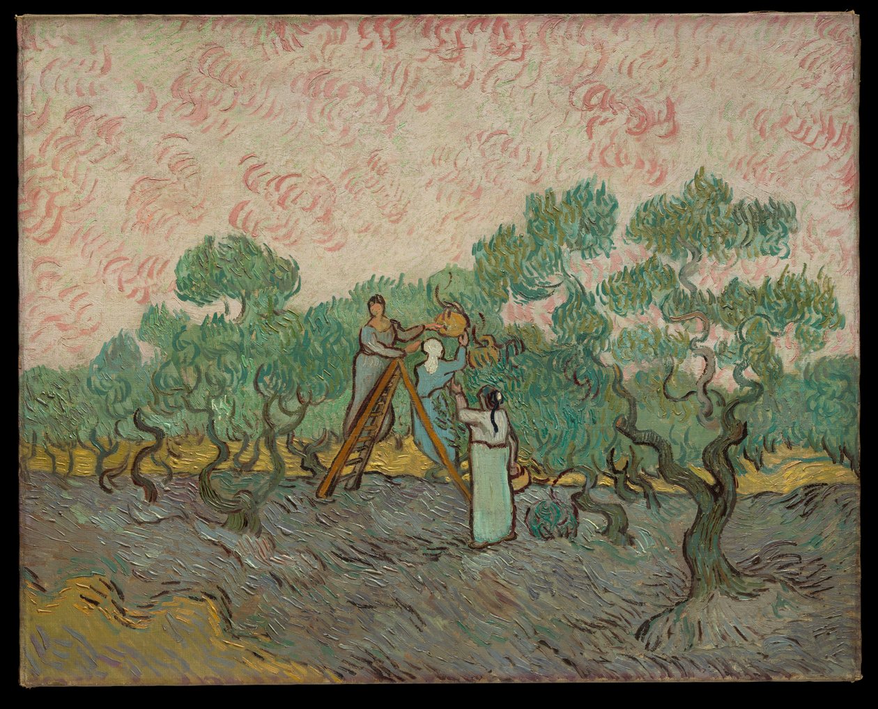Oliiveja poimivat naiset tekijältä Vincent van Gogh